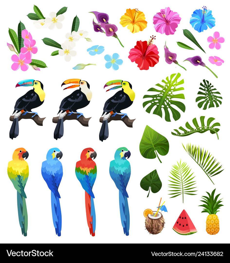 Tropical objects set Tropical objects set vector image