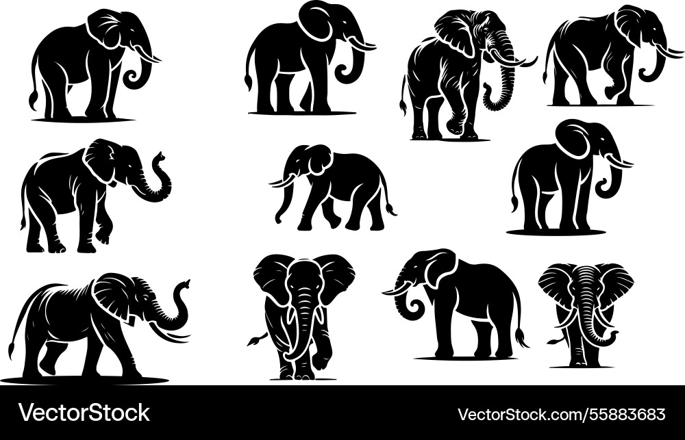 Elephant Silhouette Vektorbild