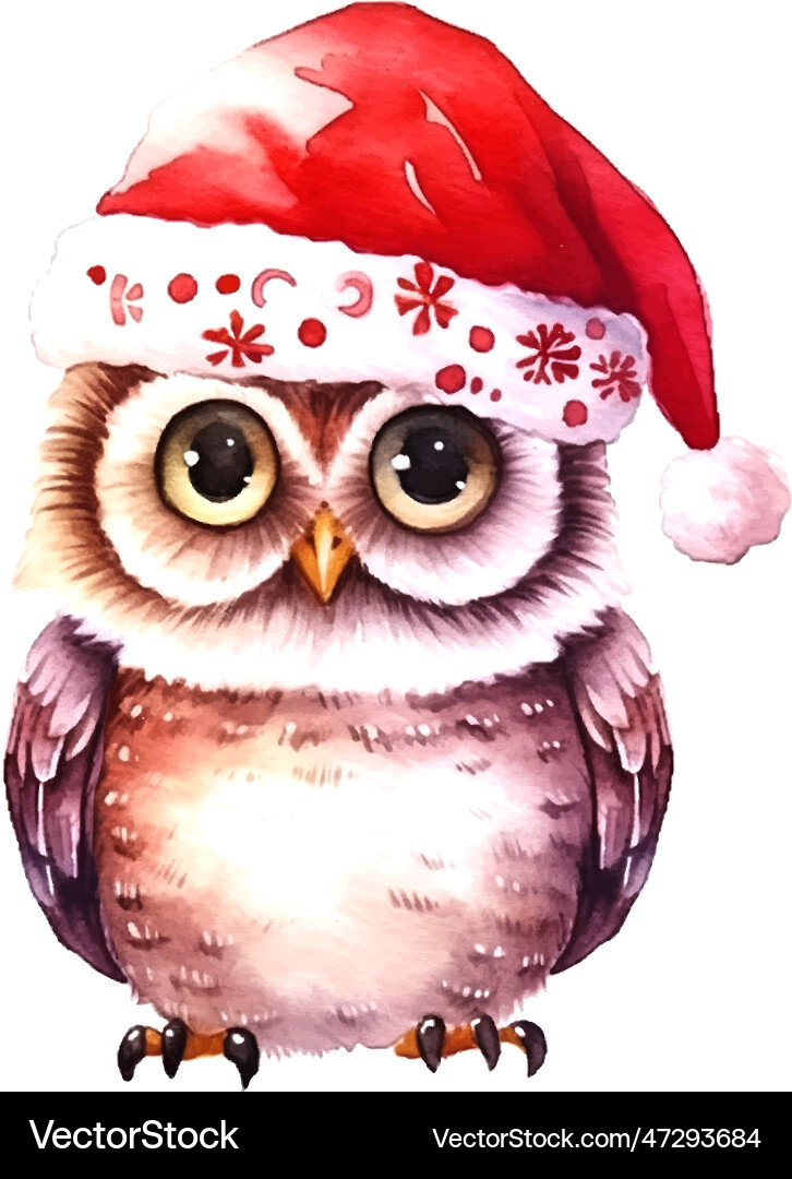 Hand drawn owl christmas hat watercolor vector image