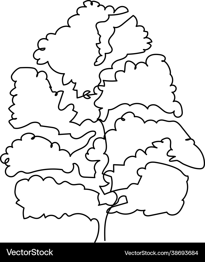 Linden beech elm tree one line art continuous Vector Image