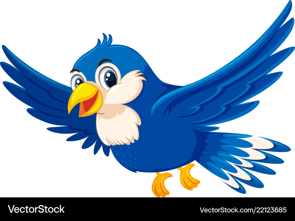 Blue Bird Floating Bird Blue Bird Floating Bird
