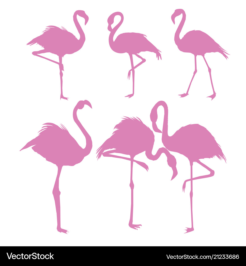 File of flamingo File of flamingo vector image