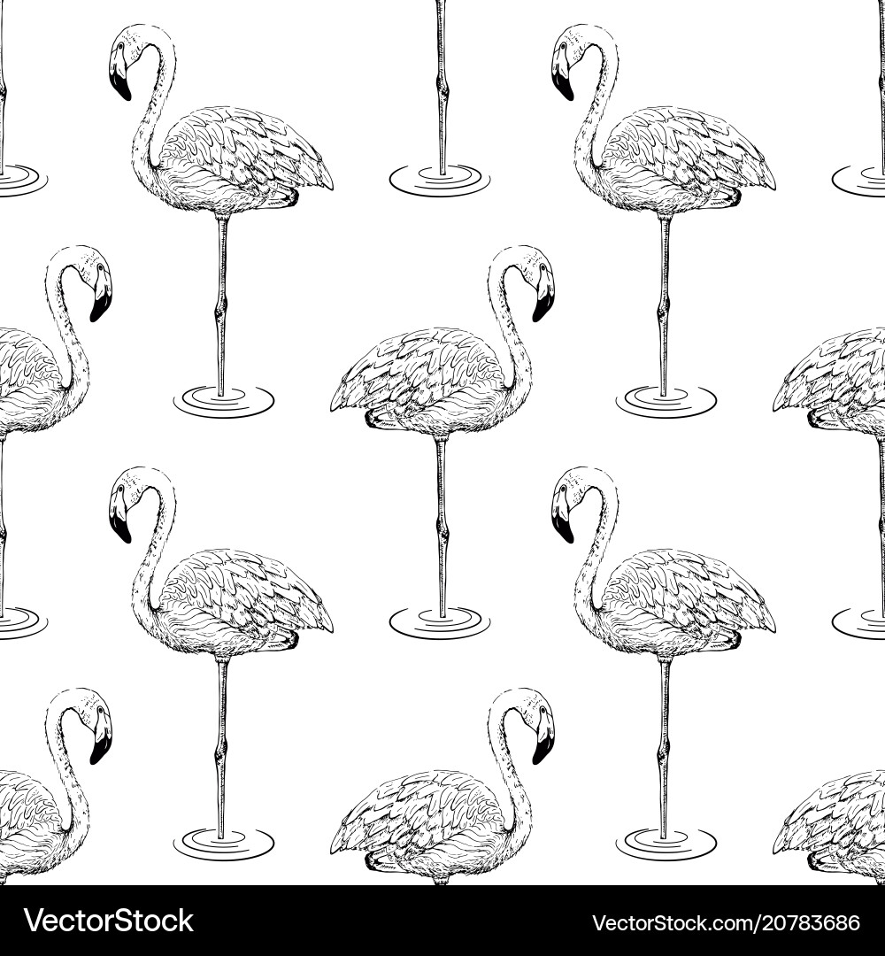 Flamingo sketch seamless pattern Flamingo sketch seamless pattern vector image
