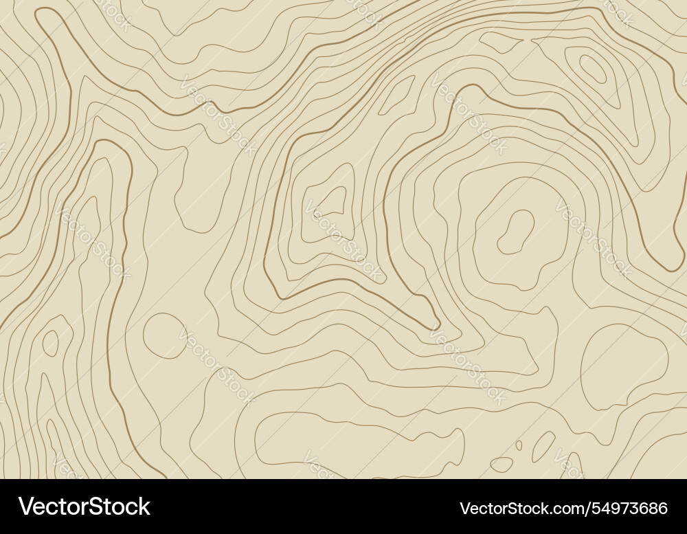 Topographic map background with altitude lines Topographic map background with altitude lines vector image