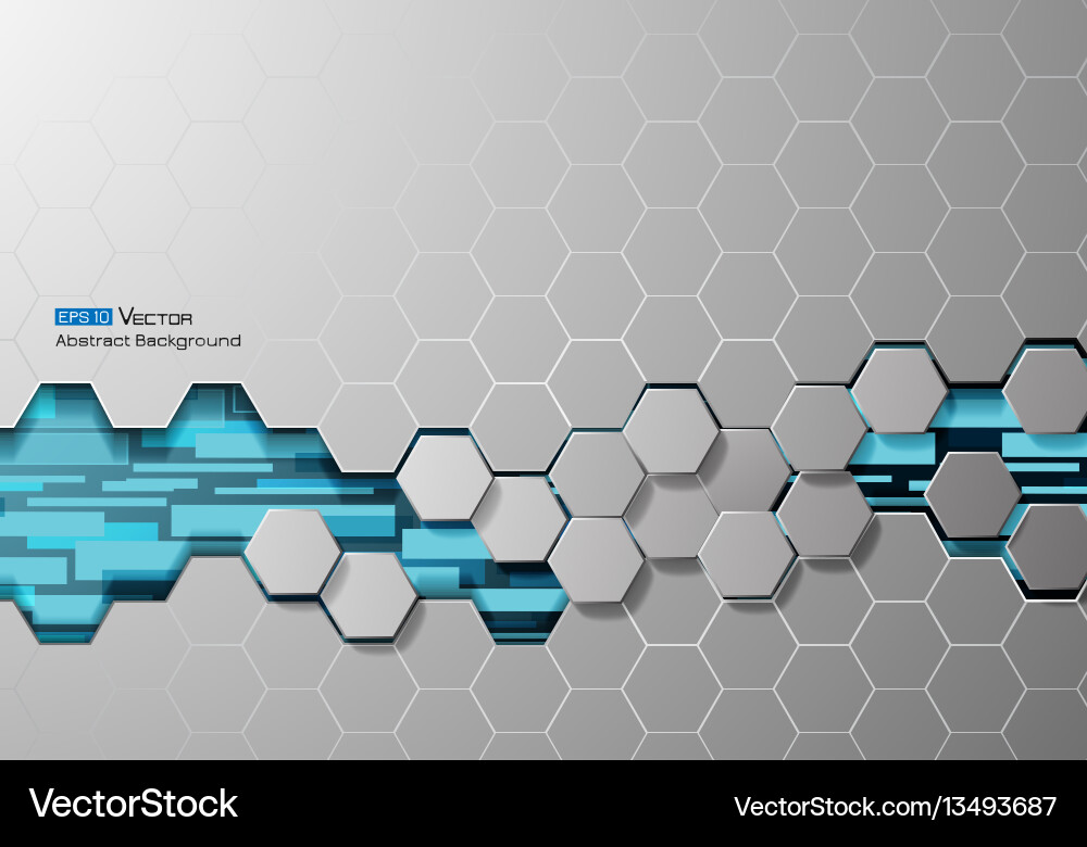 Abstract Hexagon and Rectangle Background vector image