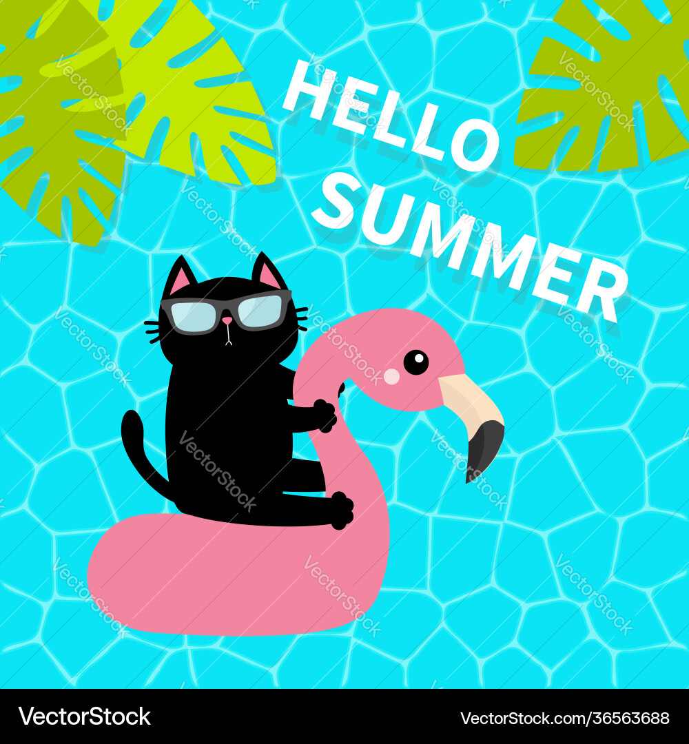 Black cat floating on white flamingo pool float Black cat floating on white flamingo pool float vector image