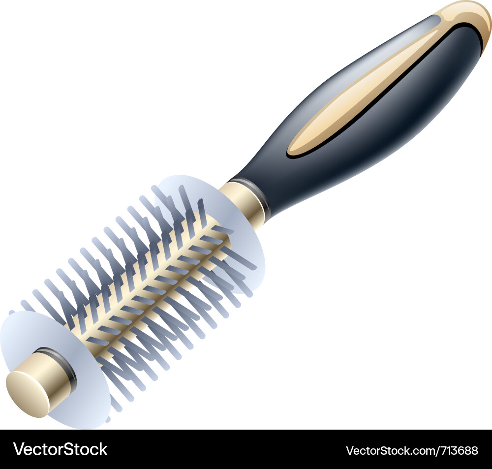 Modern Hairbrush Vector Image