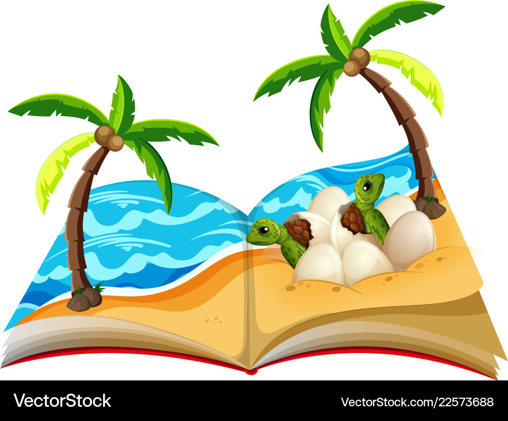 Turtle Hatchlings in Open Book vector image