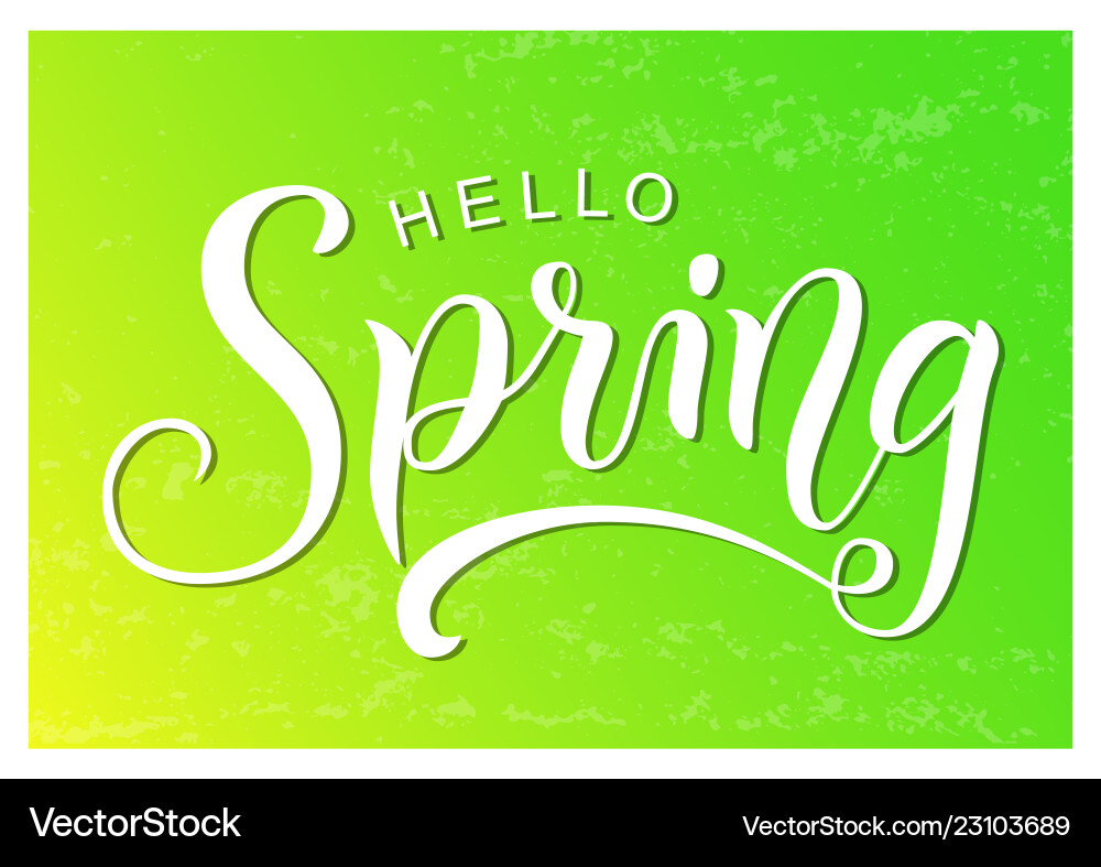Modern calligraphy lettering of hello spring Vector Image