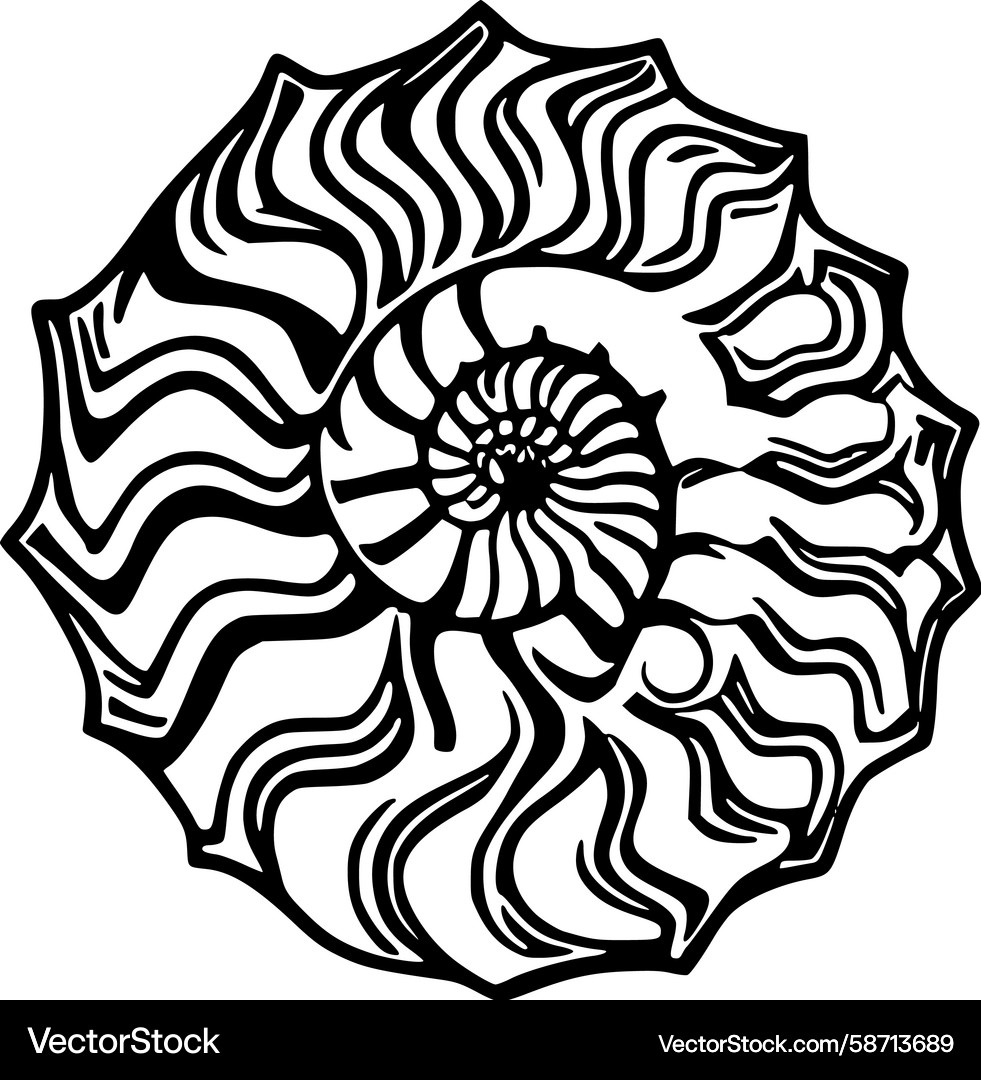 Spiral Nautilus Shell Pattern Vector Image