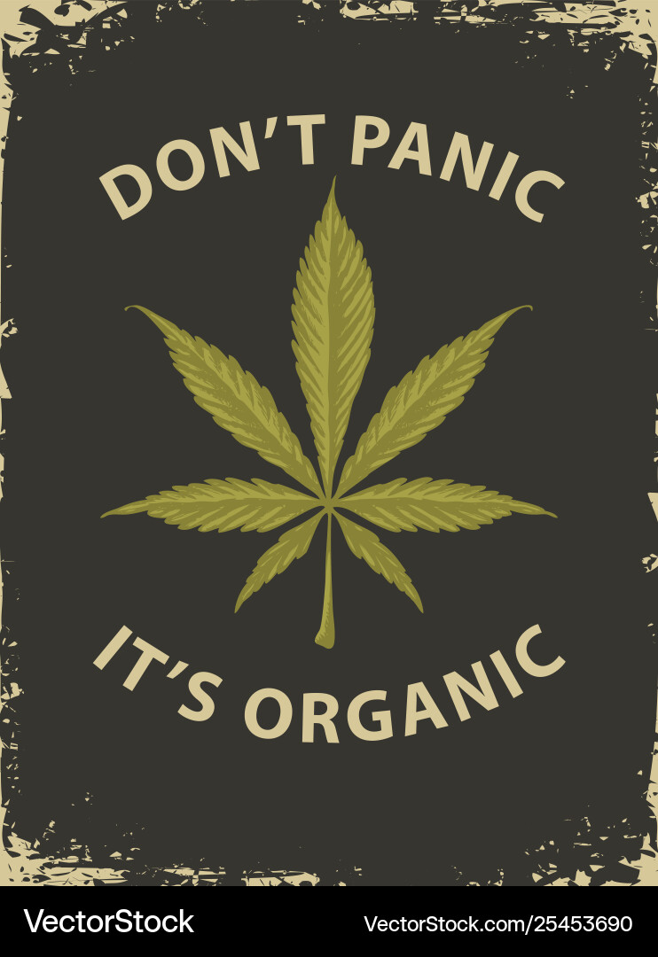 Banner zur Legalisierung von Marihuana mit Cannabisblatt Banner zur Legalisierung von Marihuana mit Cannabisblatt vektorbild