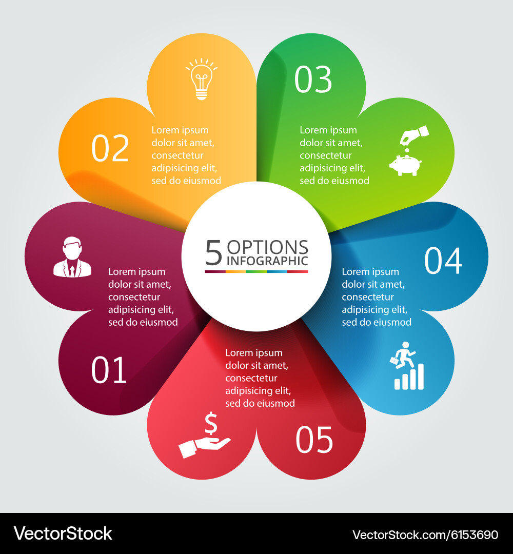 Circular Data Visualization Infographic vector image