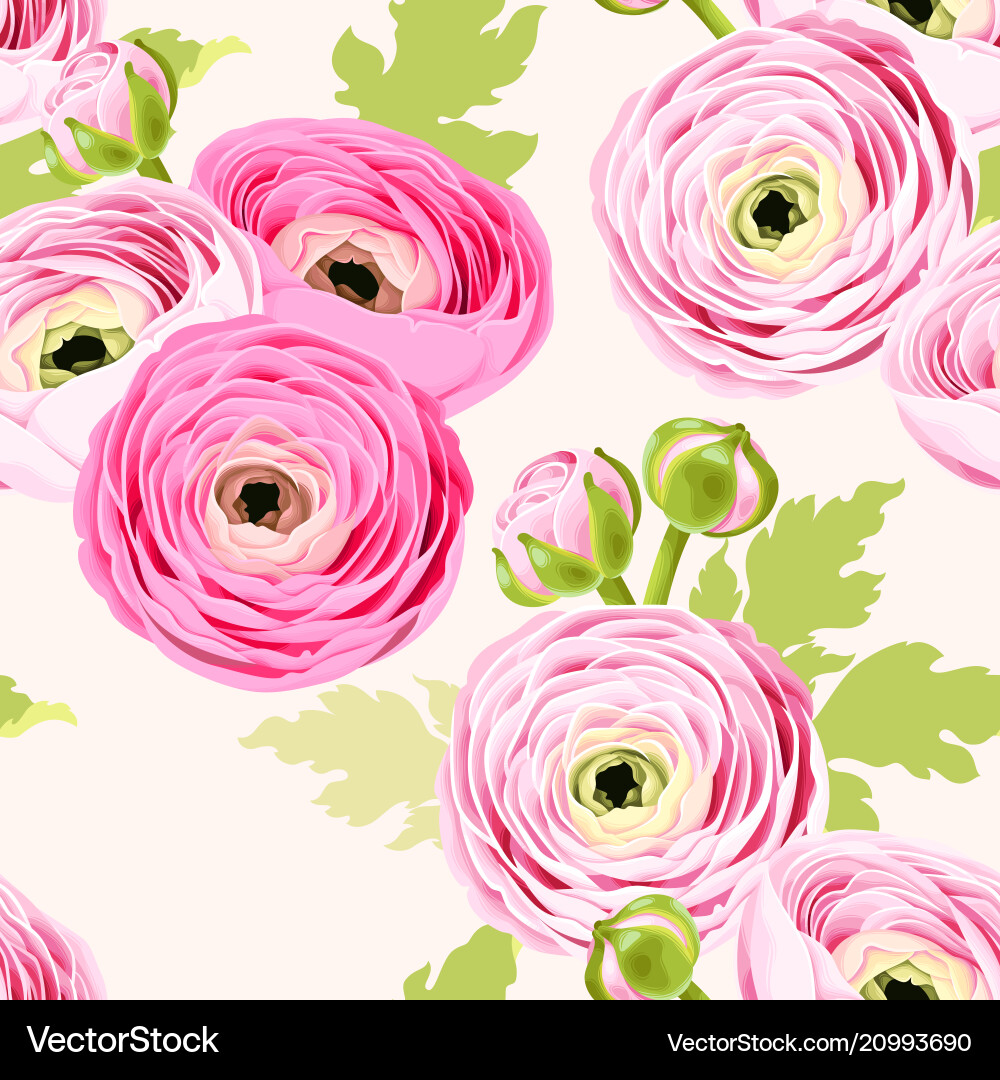 Ranunculus Floral Seamless Pattern vector image