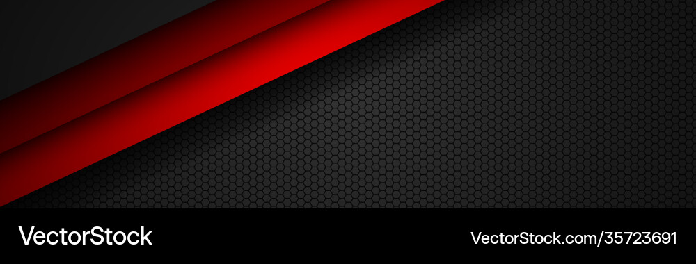 Abstract red line header with octagonal mesh Abstract red line header with octagonal mesh vector image