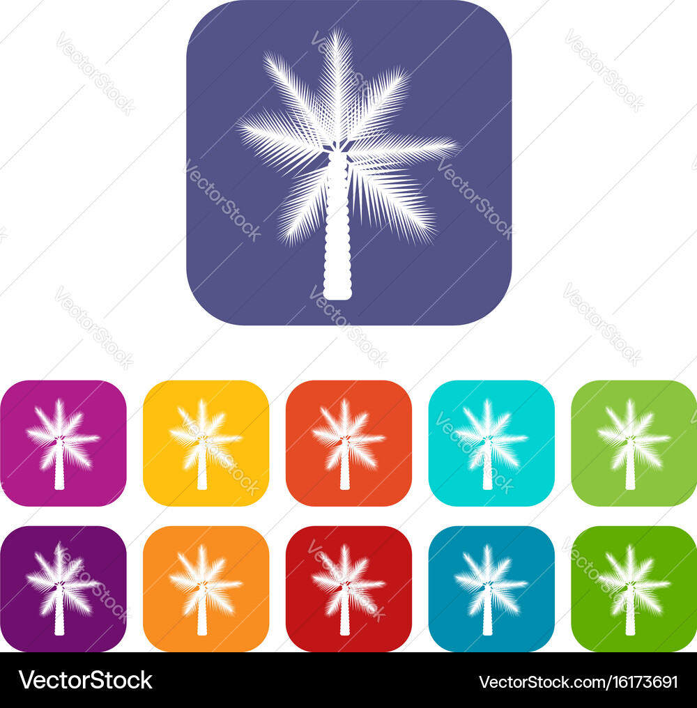 Big palm tree icons set Vector Image