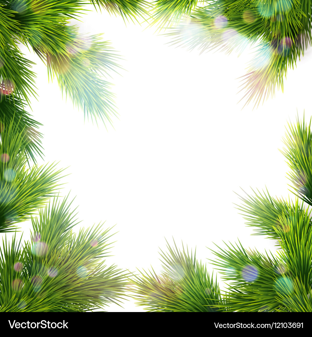 Frame of tree branches eps 10 vector image