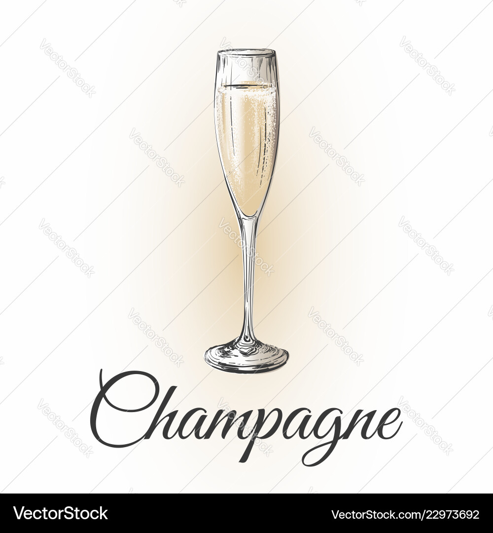 Champagne glass hand drawing Champagne glass hand drawing vector image