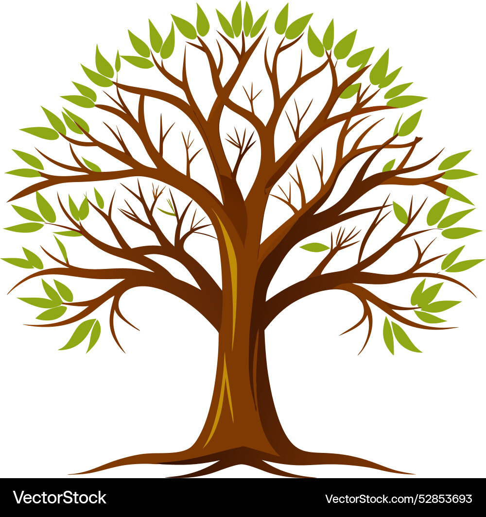 Detailed Tree Illustration vector image