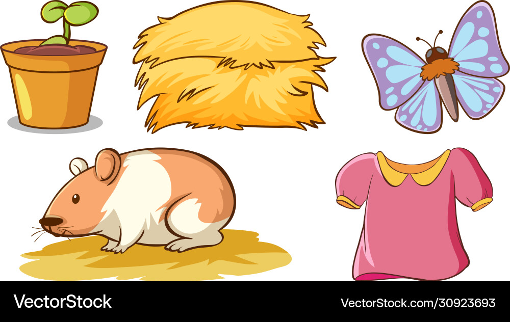 Large set different animals and other objects Vector Image