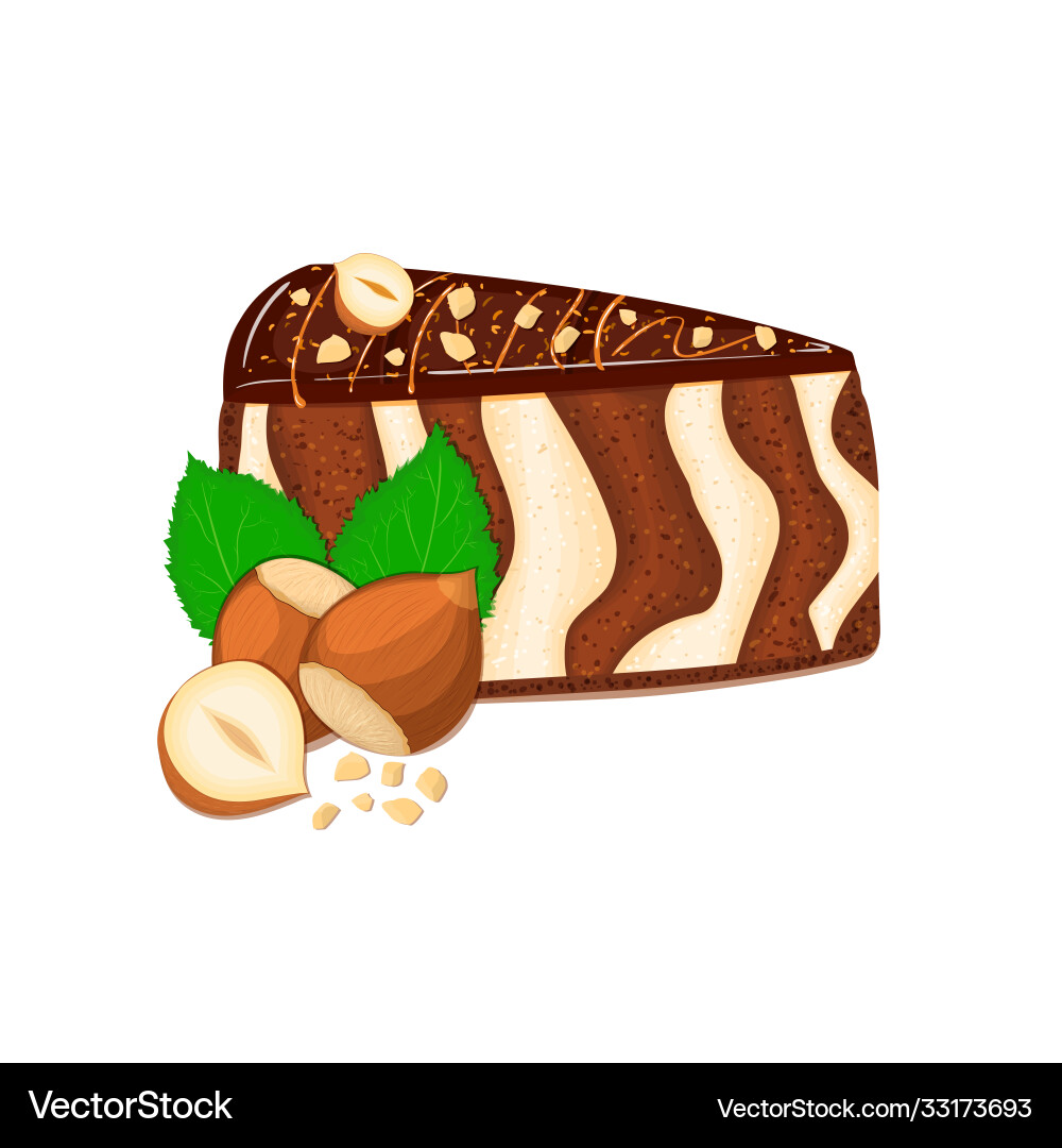 Piece zebra cake with nuts sliced Piece zebra cake with nuts sliced vector image