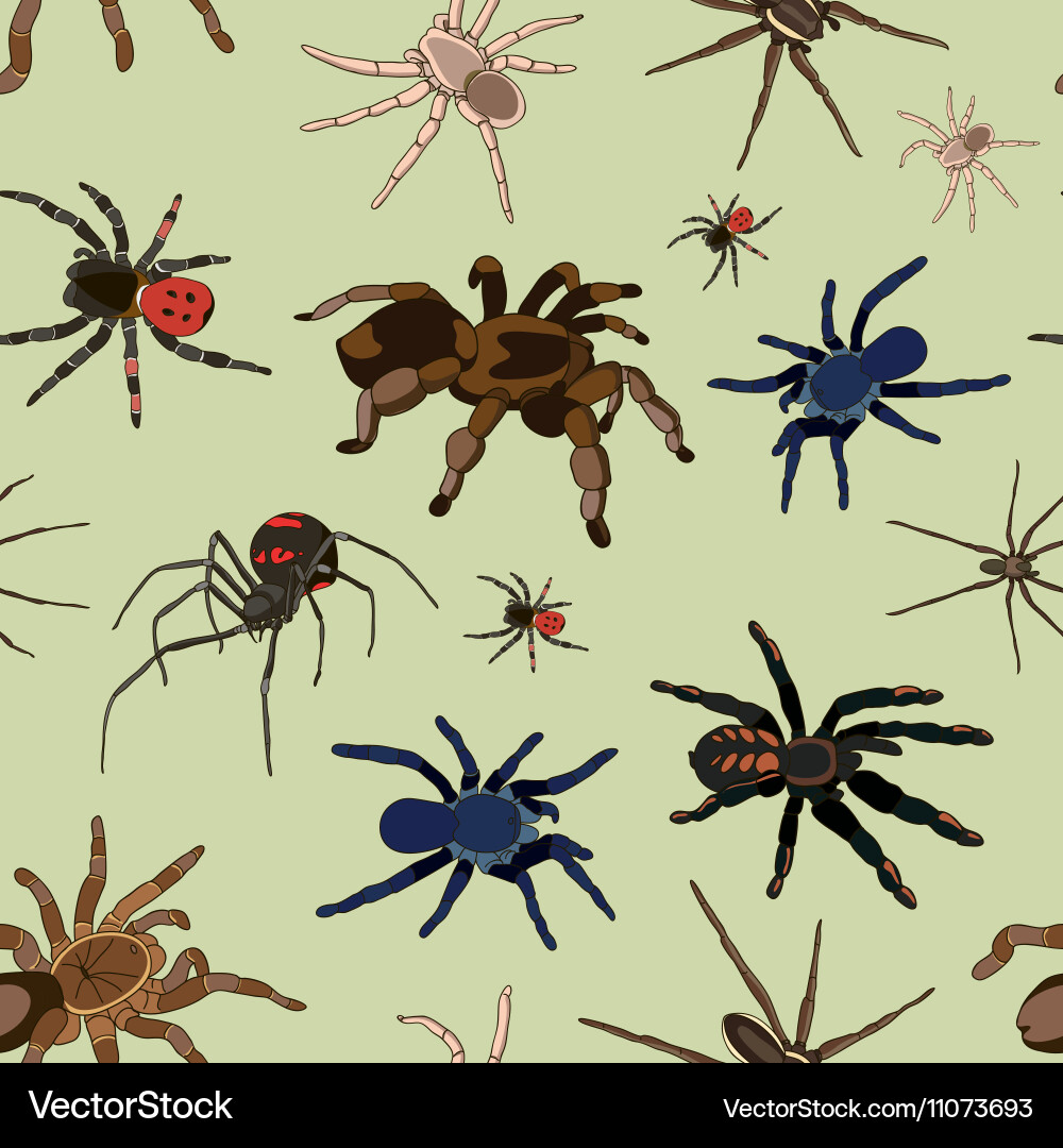 Spiders set pattern vector image