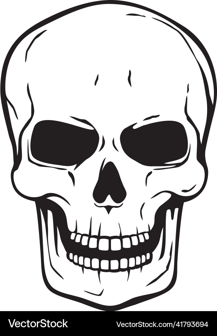 Black and White Human Skull vector image