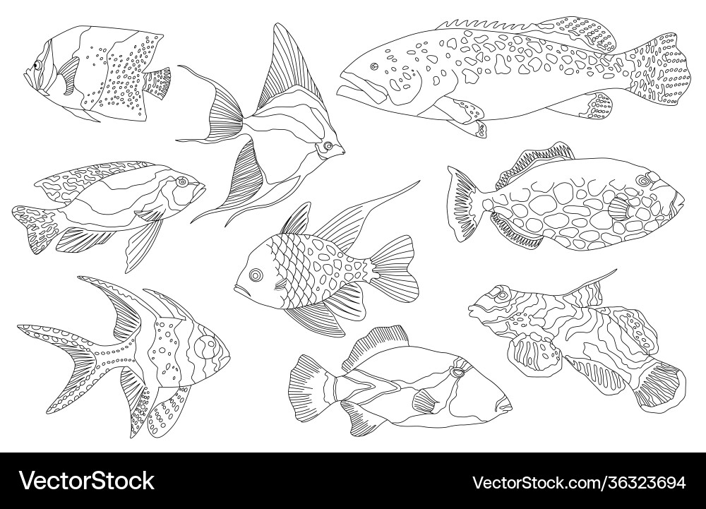 Tropische Meeres- und Aquarienfischsammlung Tropische Meeres- und Aquarienfischsammlung vektorbild