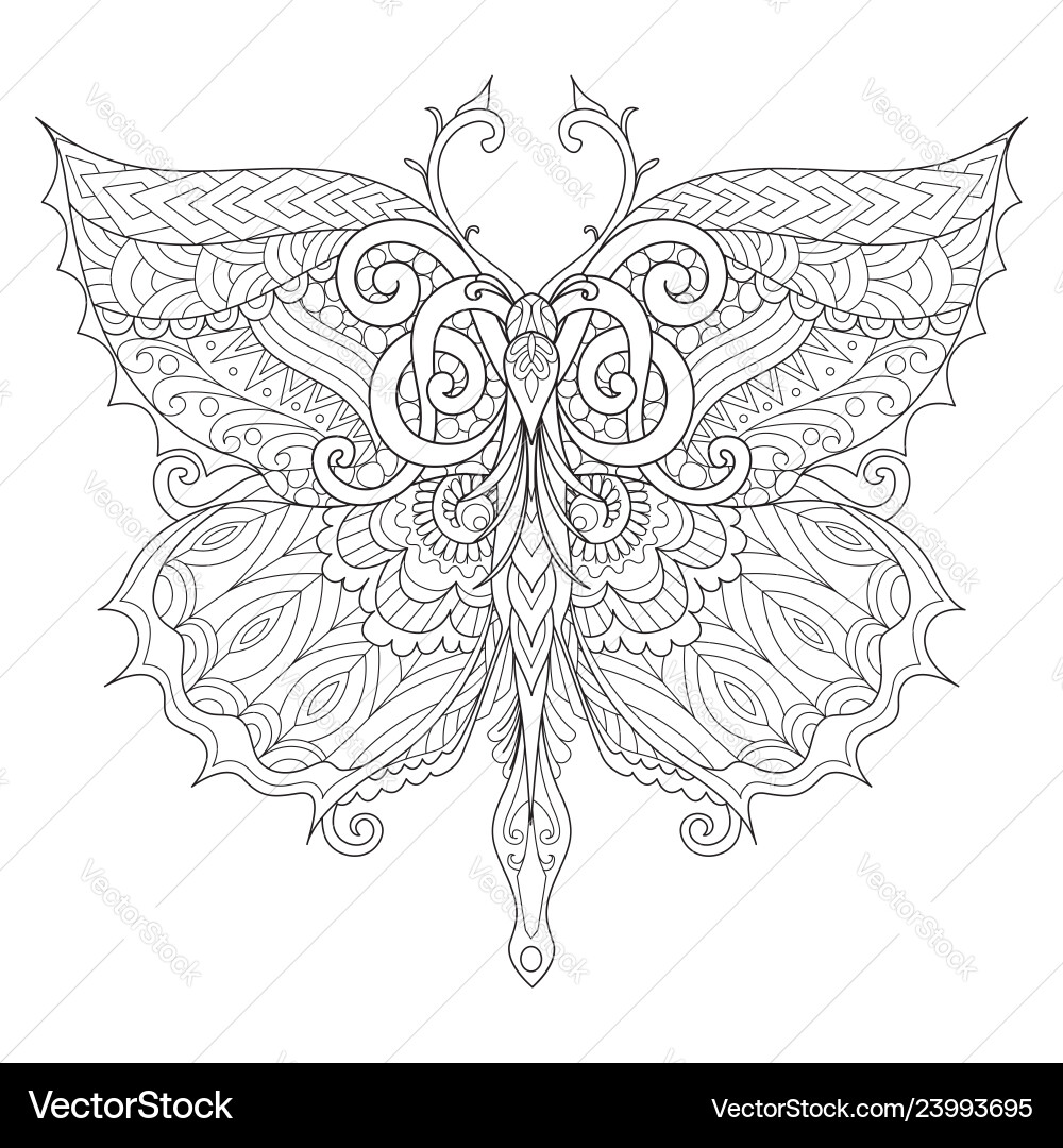 Butterfly vector image