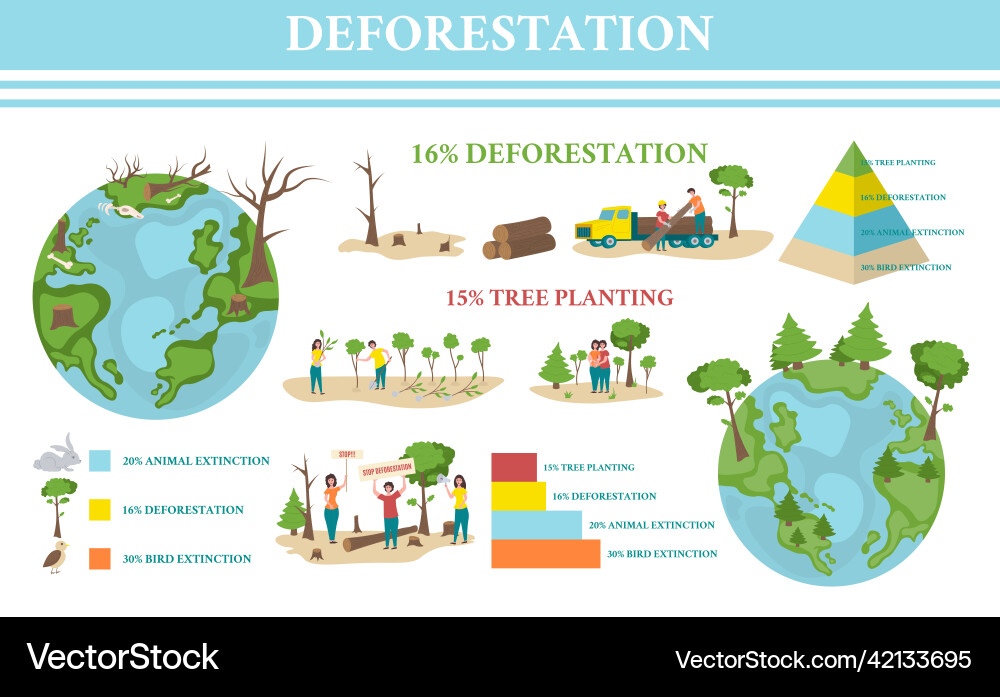 Deforestation infographic set Deforestation infographic set vector image