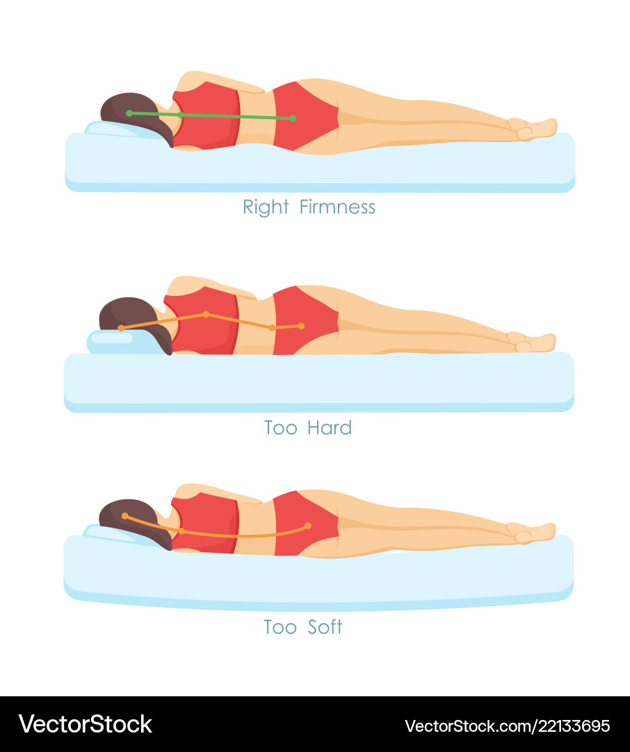 Sleeping Positions: Correct vs. Incorrect vector image