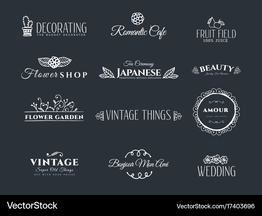 Collection of vintage elements Vector Image