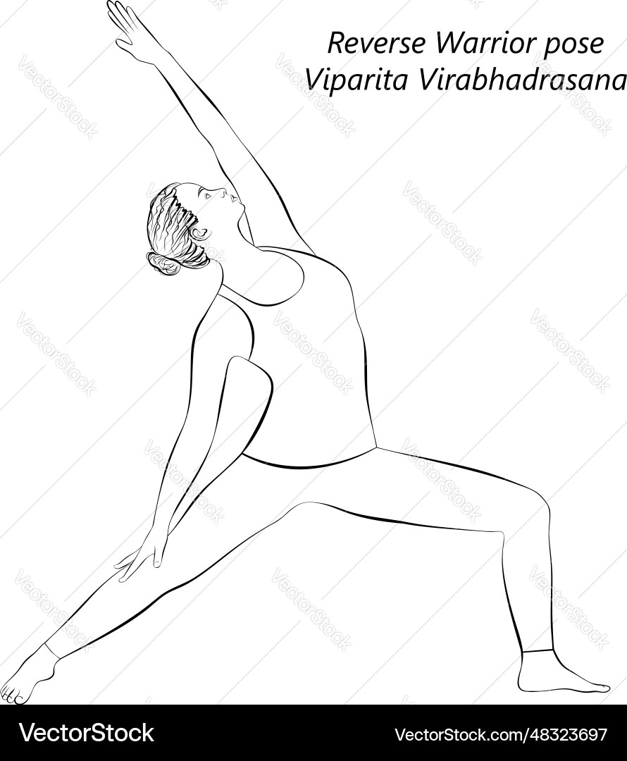 Sketch of viparita virabhadrasana Sketch of viparita virabhadrasana vector image