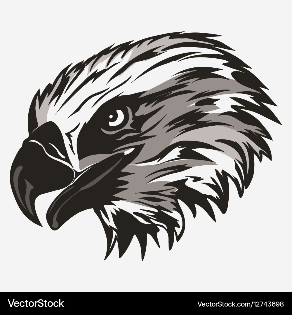 Bald Eagle Head Logo Vector Image
