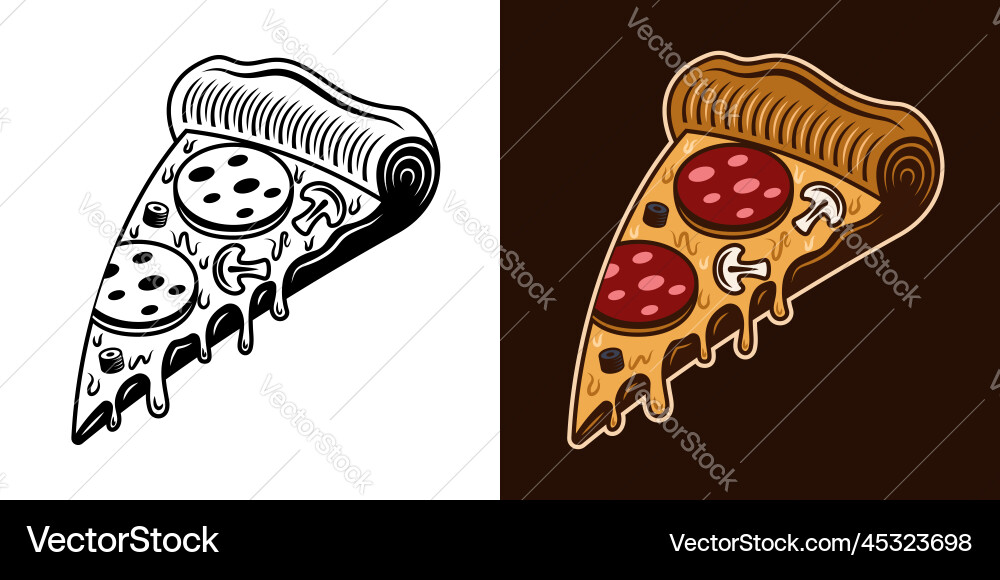 Pizza slice object in two styles monochrome Pizza slice object in two styles monochrome vector image