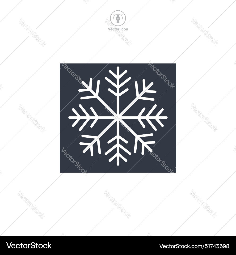 Snowflake icon symbol isolated on white background Snowflake icon symbol isolated on white background vector image