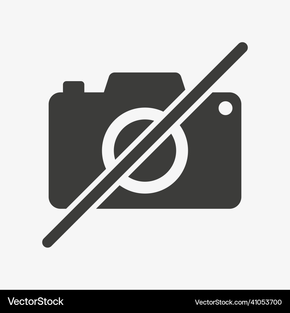 Crossed camera icon image is not available Vector Image