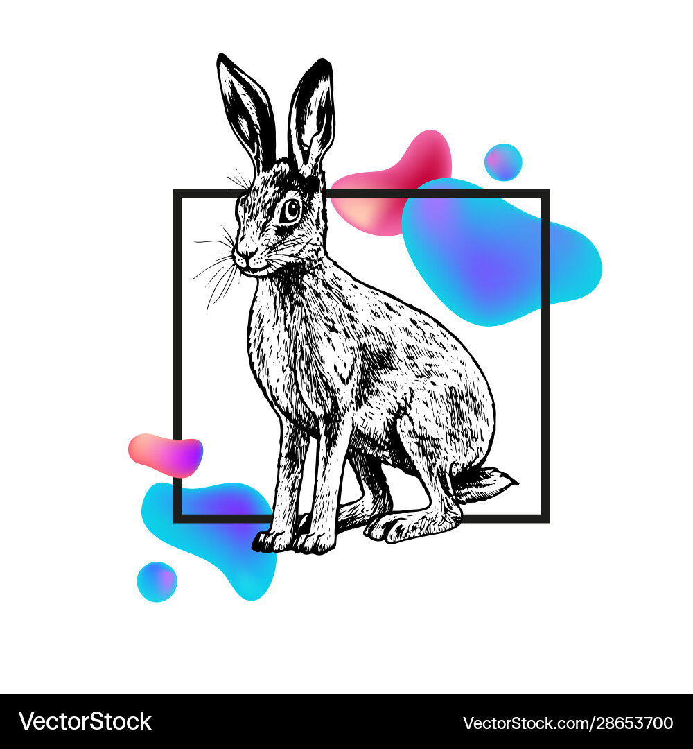 Hand drawn hare with frame and abstraction Hand drawn hare with frame and abstraction vector image