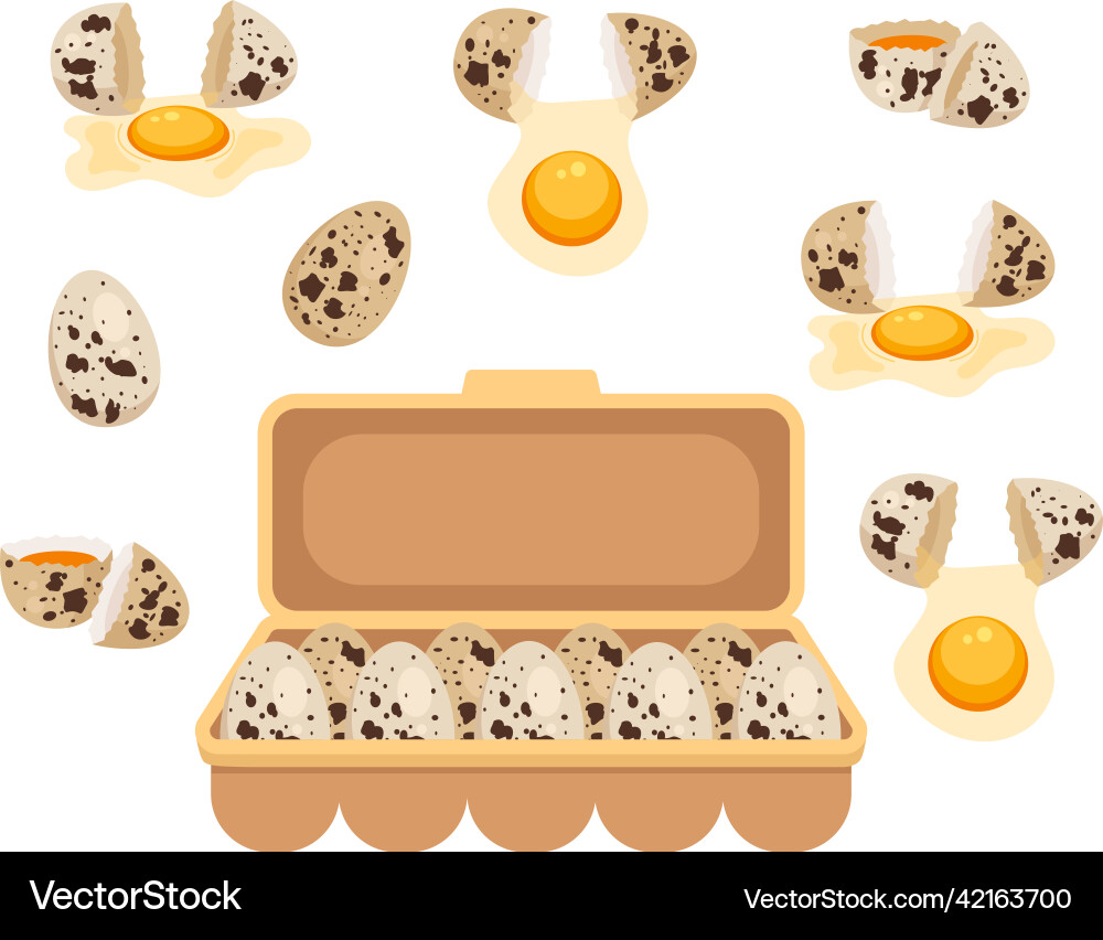Quail egg isolated design element set collection Quail egg isolated design element set collection vector image