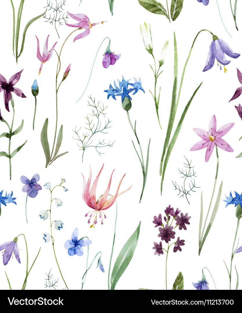Watercolor Wildflower Pattern Vector Image