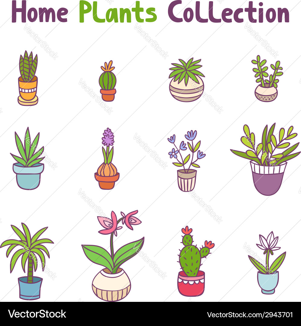 Cute Plant Collection vector image