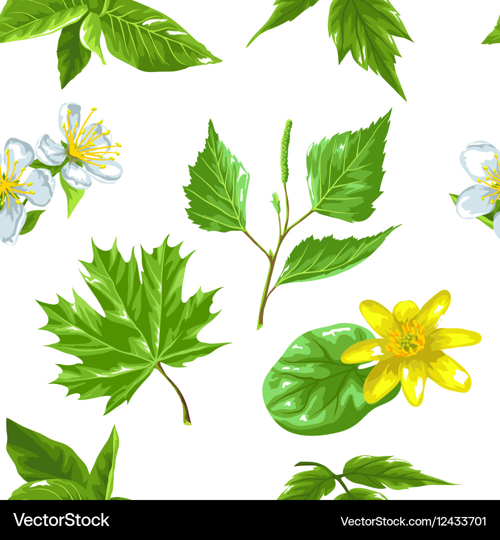 Spring Green Leaf Pattern Vector Image