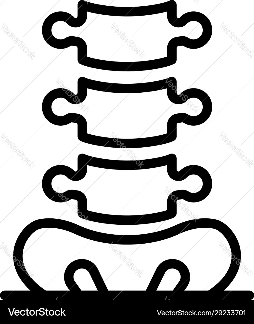 Tailbone and spine icon outline style Tailbone and spine icon outline style vector image