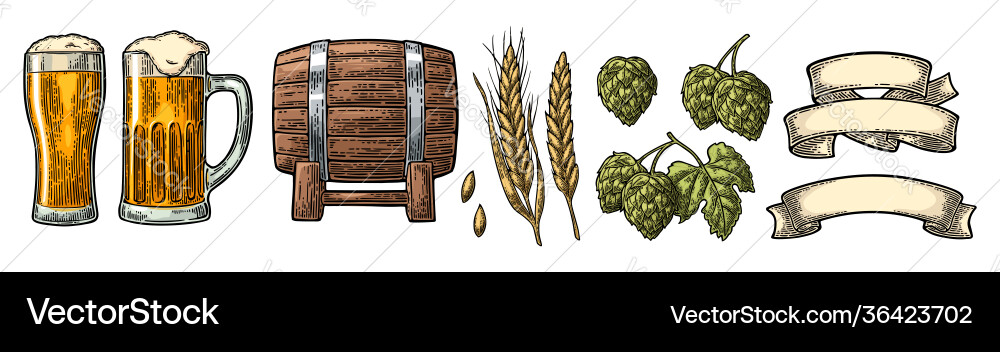 Bier mit Ribbon &amp Hop Branch Vektorbild