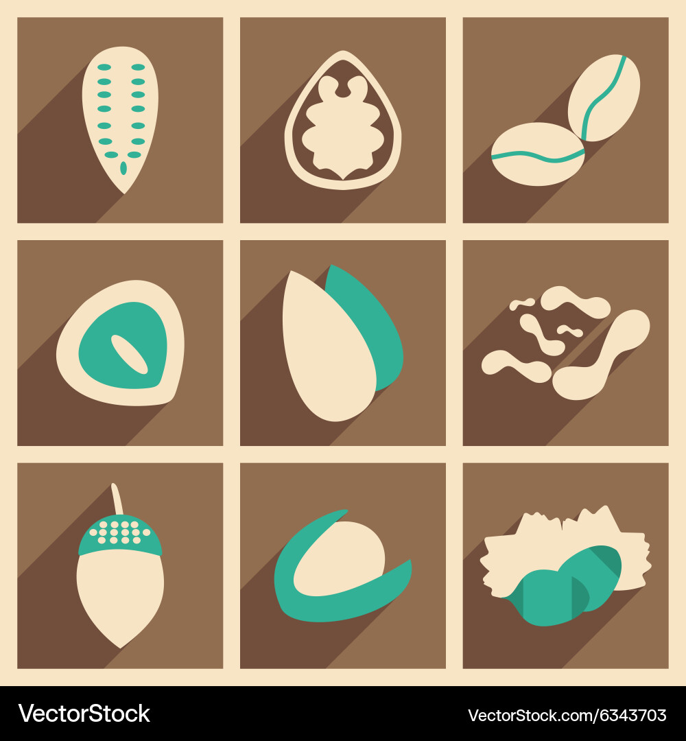 Flat with shadow concept and mobile application vector image