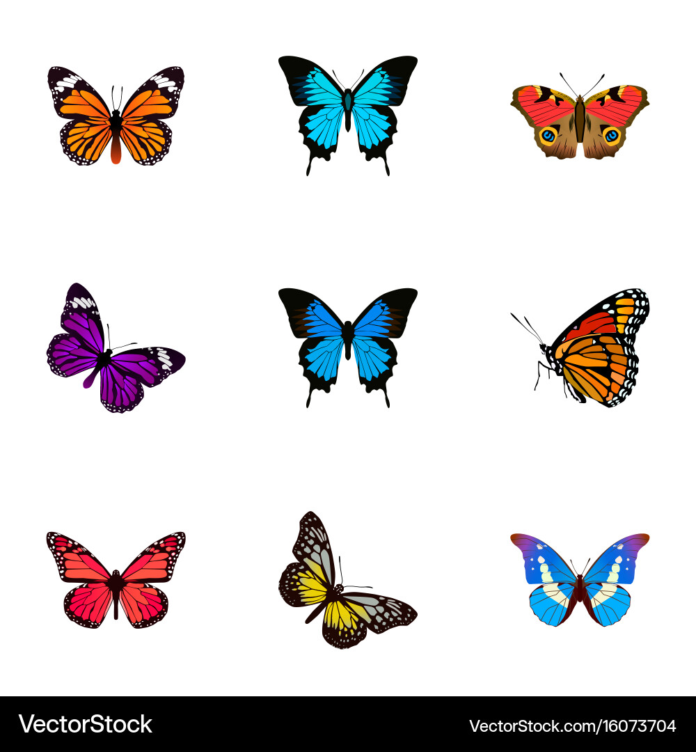 American Painted Lady Butterfly Vector Image