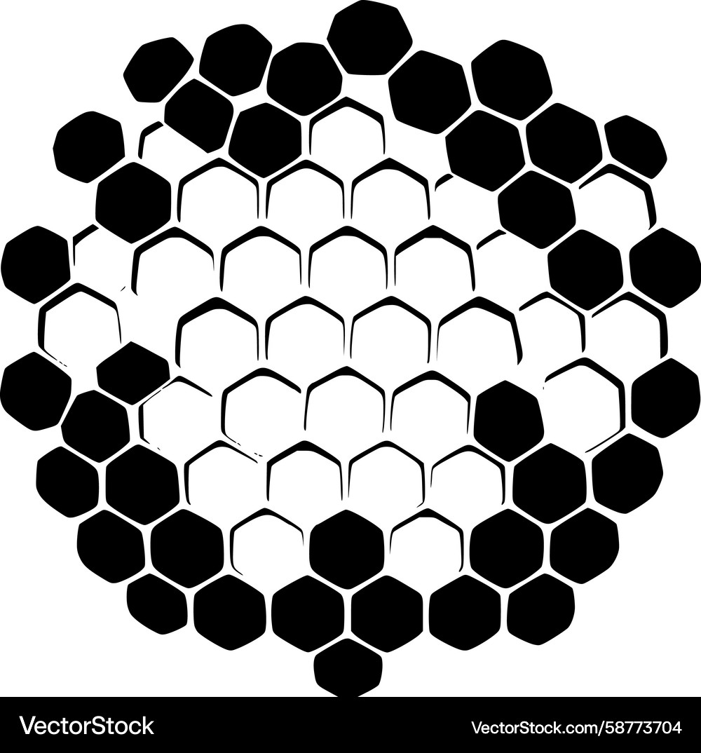 Honeycomb Grid Pattern Vector Image
