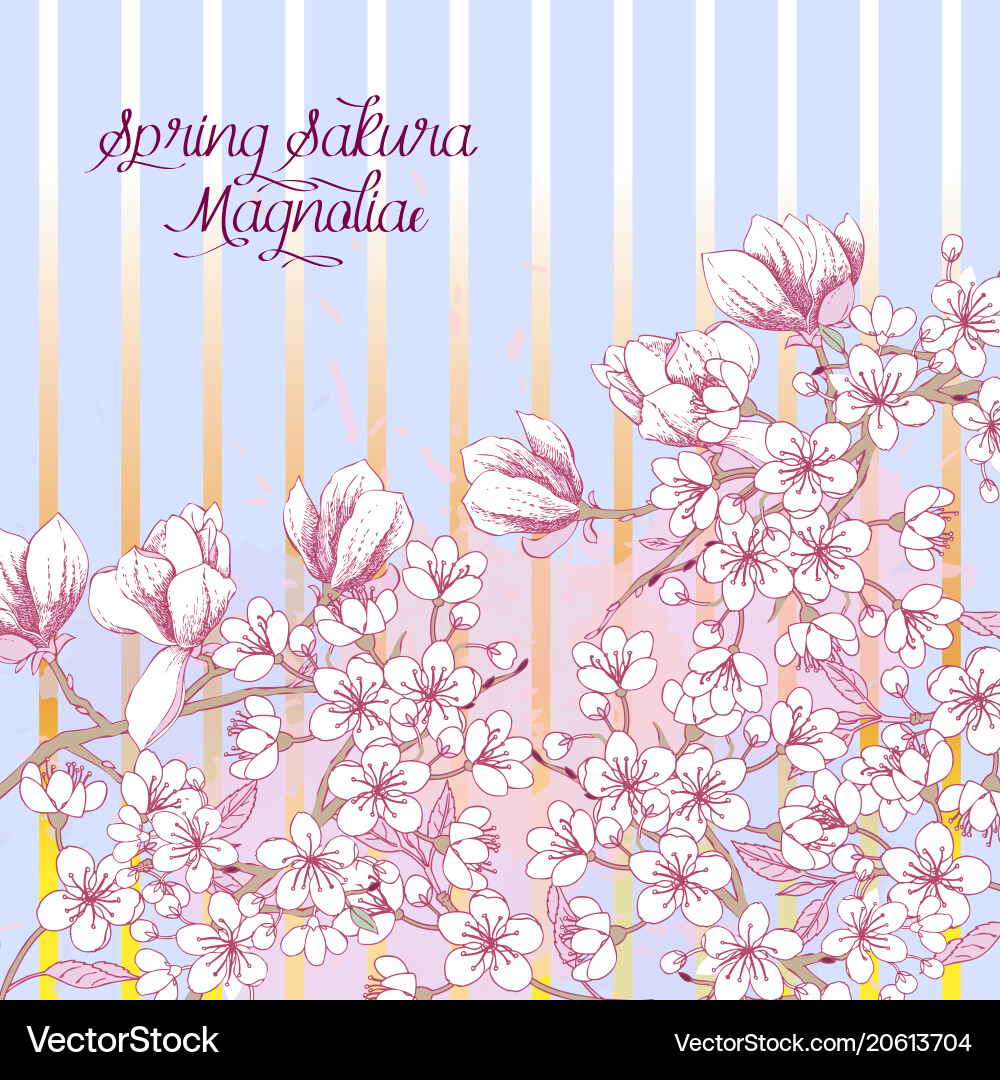 Spring background with sakura blossom trees Vector Image