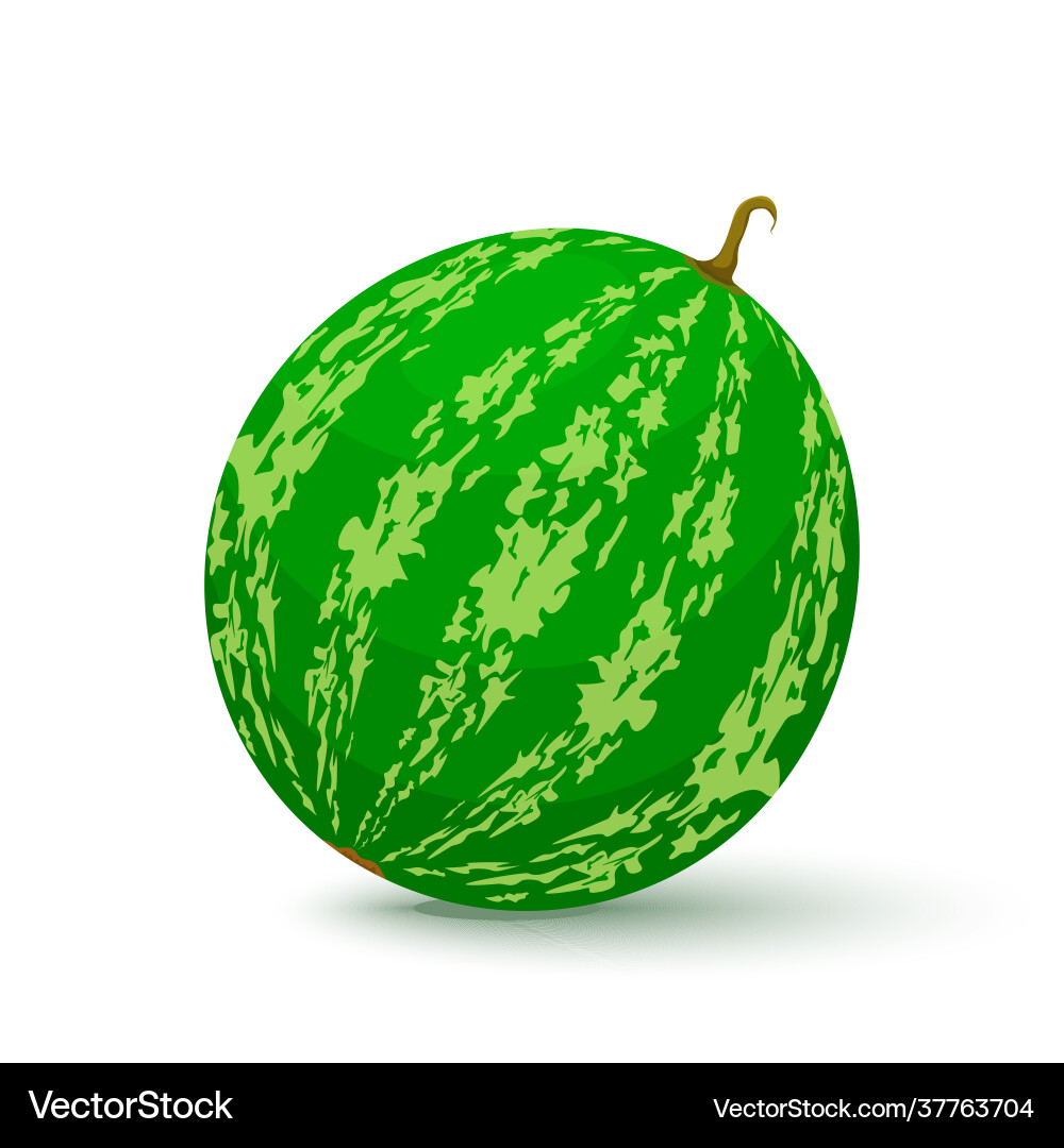 Watermelon icon in flat style isolated object Watermelon icon in flat style isolated object Vector Image