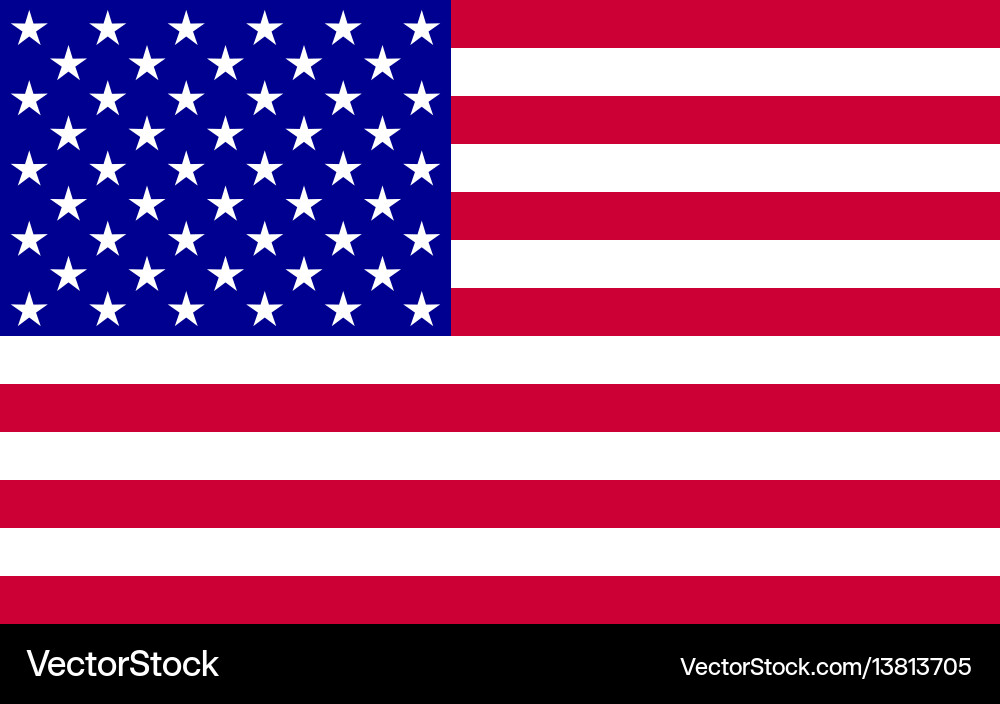 American Flag vector image