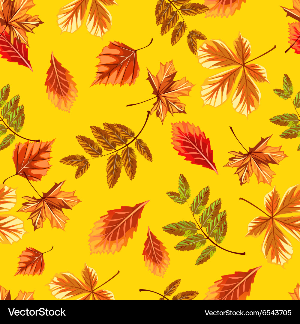 Autumn Leaf Pattern Vector Image